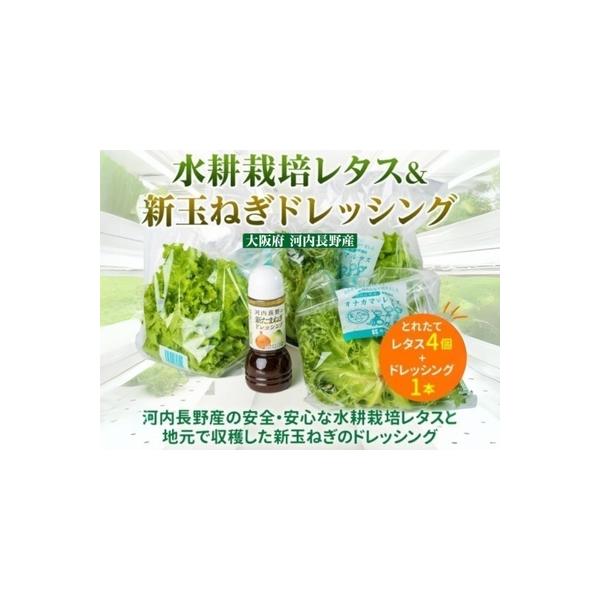 ■ 容量　【容量】　レタス4袋　ドレッシング1本　　【アレルギー】　小麦、 さば、 大豆、 りんご　■アレルギー表示　小麦、 さば、 大豆、 りんご　　【賞味期限】　＜レタス＞　収穫当日に出荷します。一般的な栽培のものより長持ちしますが新鮮...