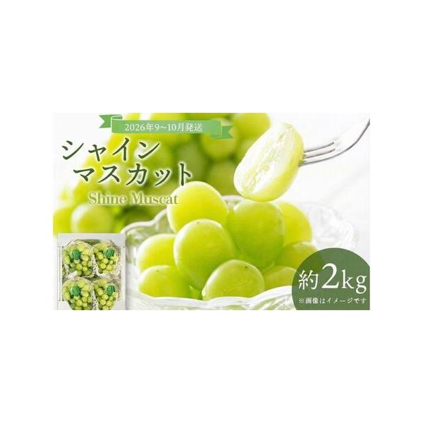 ふるさと納税 ＜2026年発送分 先行予約＞9月〜10月発送お土産シャイン