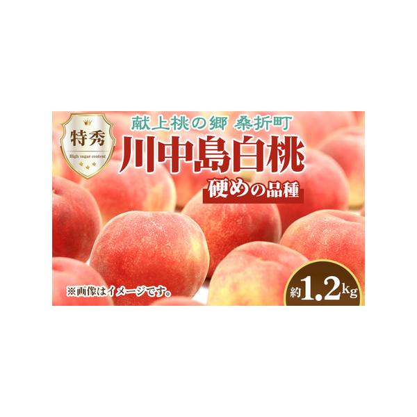 ■ 容量　【内容】　1.2kg相当×1箱（4玉）　　賞味期限：発送日から1週間程度　提供元：ふくしま未来農業協同組合　桑折営農センター■ 配送について　令和8年8月中旬〜令和8年8月下旬　タイプ：【常温】