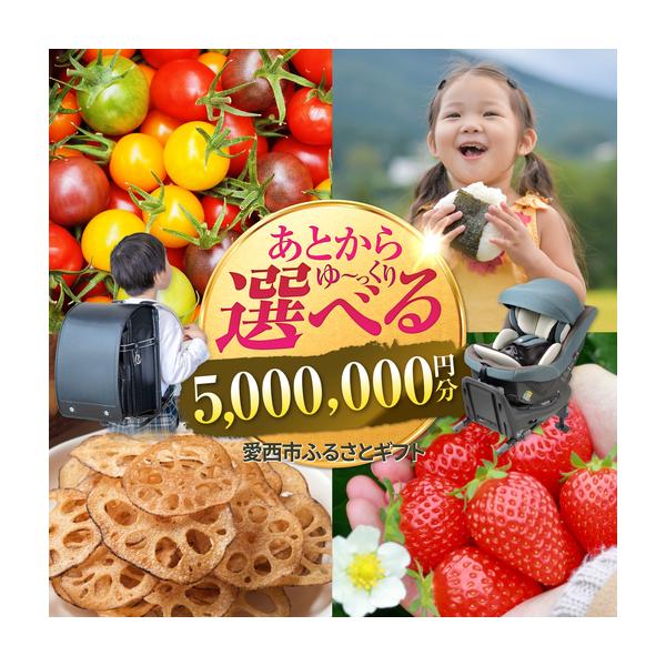 furunavi_1420030