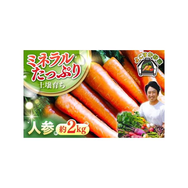■ 容量　人参約2kg　梱包サイズ60■ 配送について　ご入金確認後、2025年11月中旬~2026年1月の間に順次発送いたします。　タイプ：【冷蔵】