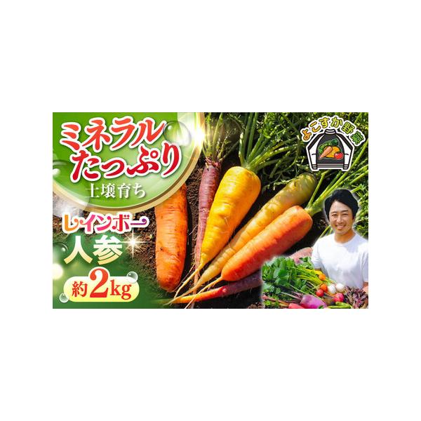 ■ 容量　レインボー人参約2kg　梱包サイズ60■ 配送について　ご入金確認後、2025年11月中旬~2026年1月の間に順次発送いたします。　タイプ：【冷蔵】