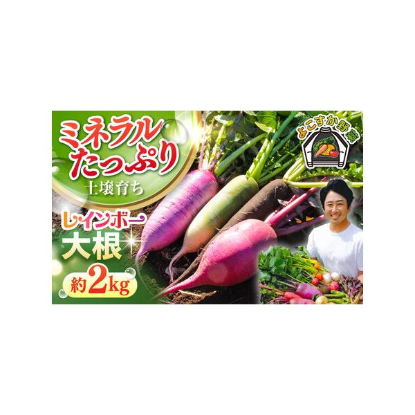 ■ 容量　レインボー大根約2kg　梱包サイズ80■ 配送について　ご入金確認後、2025年10月下旬~2026年2月中旬の間に順次発送いたします。　タイプ：【冷蔵】