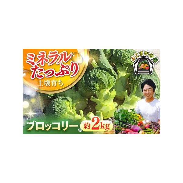 ■ 容量　ブロッコリー約2kg　梱包サイズ80■ 配送について　ご入金確認後、2025年11月~2026年1月の間に順次発送いたします。　タイプ：【常温】