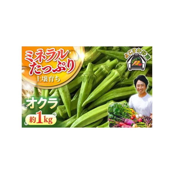 ■ 容量　オクラ約1kg　梱包サイズ60■ 配送について　ご入金確認後、2026年6月中旬から2026年9月末まで順次発送いたします。　タイプ：【冷蔵】