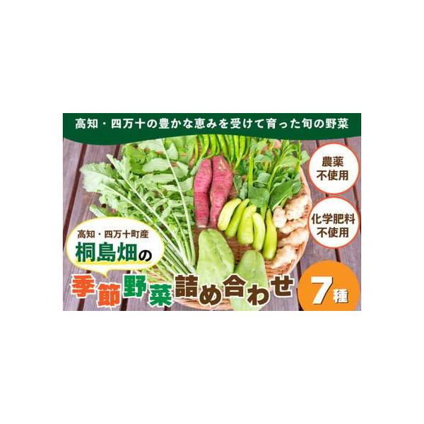 ■ 容量　・桐島畑の季節野菜：7種類　※生ものなので到着後すぐにお召し上がりください。■ 配送について　■発送日は、「火曜日」で固定とさせていただいております。　　特にご指定がない場合は、準備ができ次第、直近の火曜日に発送をさせていただきま...
