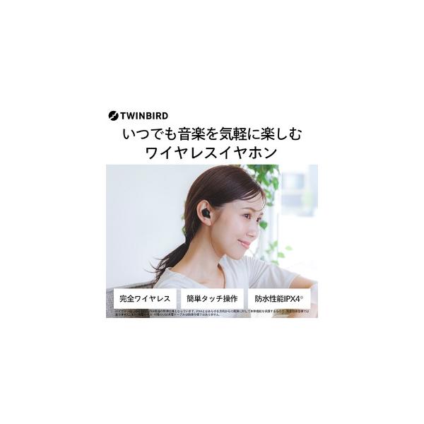 ふるさと納税 ワイヤレスイヤホン (AV-9344B) 新潟県燕市