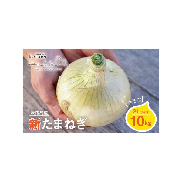 ■ 容量　10kg　　　賞味期限：約1週間（到着後はなるべくお早めにお召し上がりください。）　　配送方法：常温　■ 配送について　2026年3月下旬〜5月頃（天候や収穫の状況により前後する場合がございます）　　タイプ：【常温】