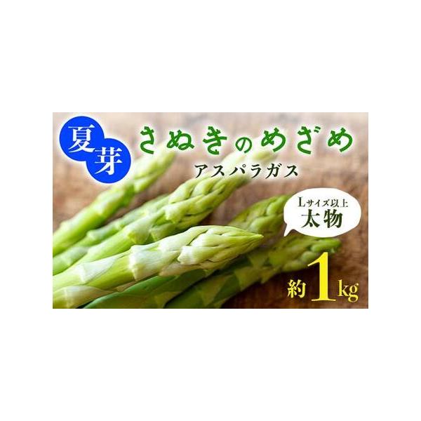 ■ 容量　・太物(Lサイズ以上)夏芽さぬきのめざめ[約1kg]　　原産地:まんのう町■ 配送について　2026年6月中旬〜2026年10月中旬　順次発送予定　タイプ：【冷蔵】
