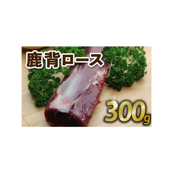 ■ 容量　鹿背ロース300g■ 配送について　入金確認後、順次発送　タイプ：【冷凍】