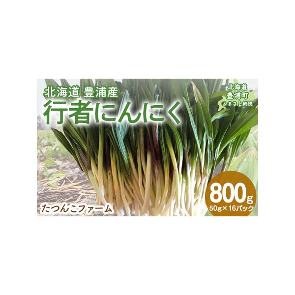 ■ 容量　50g×16パック■ 配送について　2026年2月1日〜2026年3月15日　タイプ：【冷蔵】