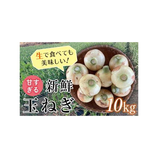 ■ 容量　玉ねぎ「早生」「甘七宝」のどちらか 10kg■ 配送について　2026年5月12日〜6月10日頃出荷　タイプ：【常温】