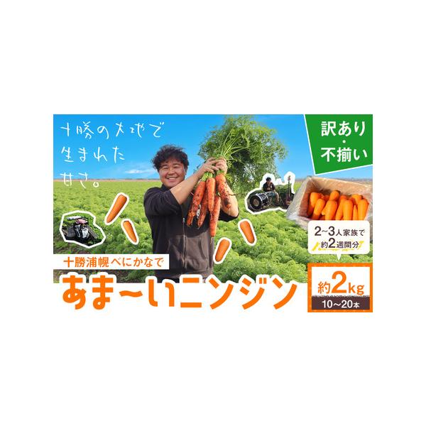 ■ 容量　約2kg（10〜20本）■ 配送について　12月上旬から5月上旬頃出荷　タイプ：【常温】
