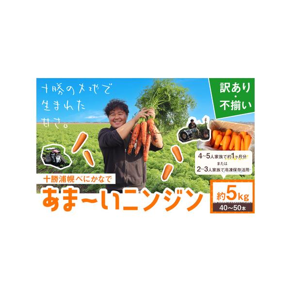 ■ 容量　約5kg（40〜50本）■ 配送について　12月上旬から5月上旬頃出荷　タイプ：【常温】