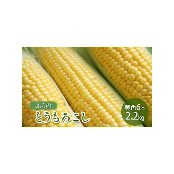 ■ 容量　とうもろこし2.2kg　■ 配送について　2026年7月中旬〜8月中旬まで　　タイプ：【冷蔵】