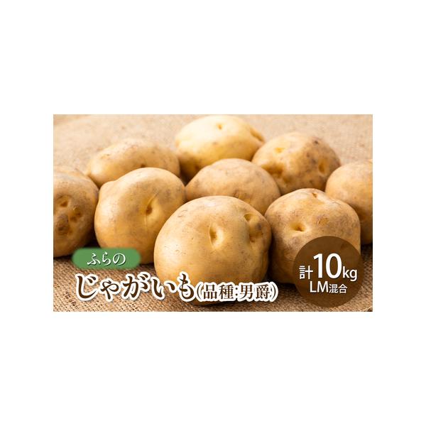 ■ 容量　じゃがいも(男爵)10kg　■ 配送について　2026年9月〜12月下旬まで　　タイプ：【常温】
