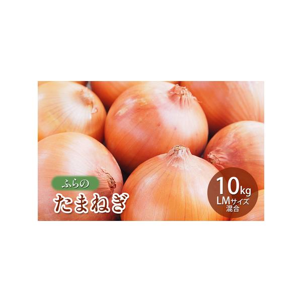 ■ 容量　たまねぎ10kg　■ 配送について　2025年9月初旬〜2026年2月下旬まで　　タイプ：【常温】