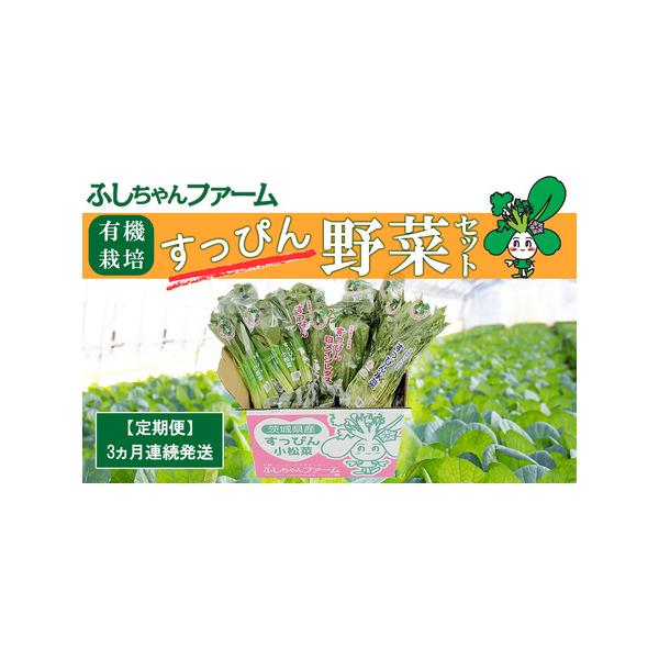 ■ 容量　・有機小松菜(約200g)３袋　・有機水菜 (約200g)３袋　・有機ロメインレタス(1 個、または小ぶりのもの2 個で約150g)３袋■ 配送について　通年お申込みを受け付けております。　寄付受付後、順次発送いたします。　2回目...