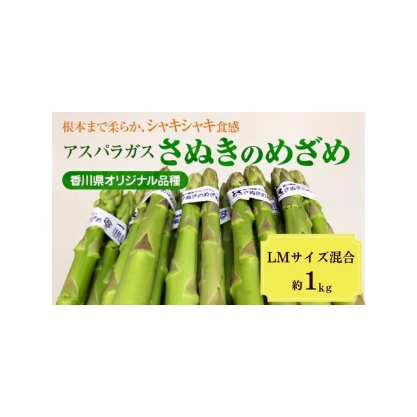 ■ 容量　約1kg（L・Mサイズ混合）　■ 配送について　2026年3月10日〜6月10日　　タイプ：【冷蔵】