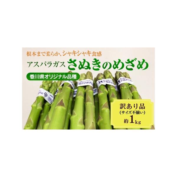 ■ 容量　約1kg（サイズ不揃い）　■ 配送について　2026年3月10日〜10月10日　　タイプ：【冷蔵】
