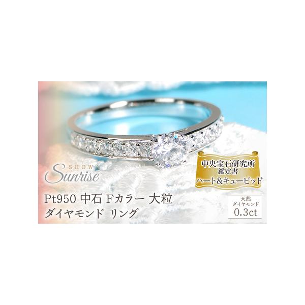 ふるさと納税 【中央宝研鑑定書付】pt950 中石 Fカラー 大粒0.3ct