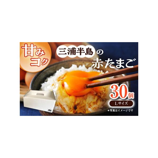 ふるさと納税 餌にこだわった三浦半島産赤たまご　30個　【横須賀商工会議所　おもてなしギフト事務局（岩沢ポートリー）】[AKET004] 神奈川県横須賀市