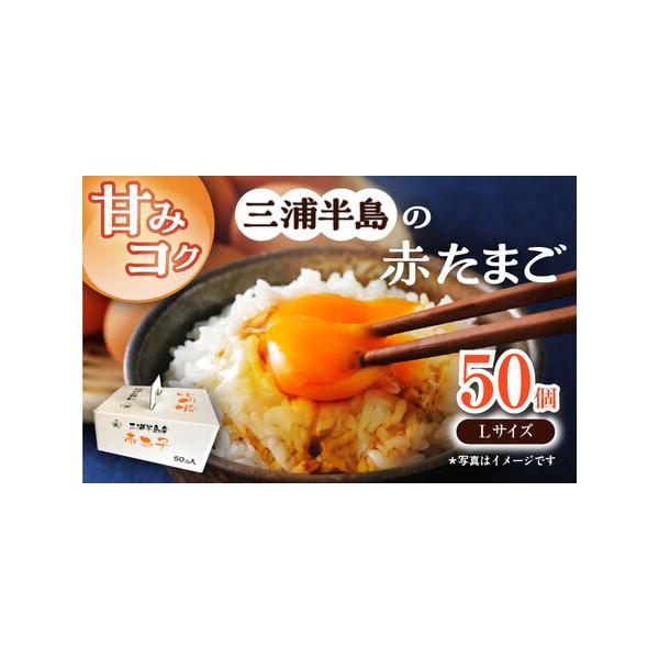 ふるさと納税 餌にこだわった三浦半島産赤たまご　50個　【横須賀商工会議所　おもてなしギフト事務局（岩沢ポートリー）】[AKET005] 神奈川県横須賀市