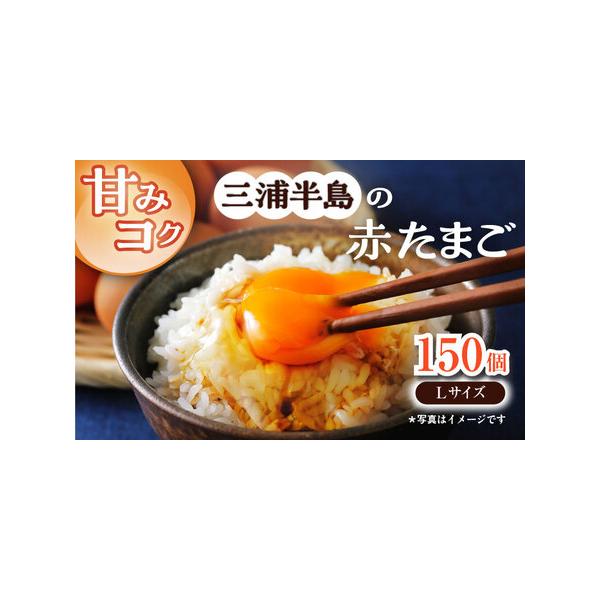 ふるさと納税 餌にこだわった三浦半島産赤たまご　Lサイズ10kg（約150個）　【横須賀商工会議所　おもてなしギフト事務局（岩沢ポートリー）.. 神奈川県横須賀市