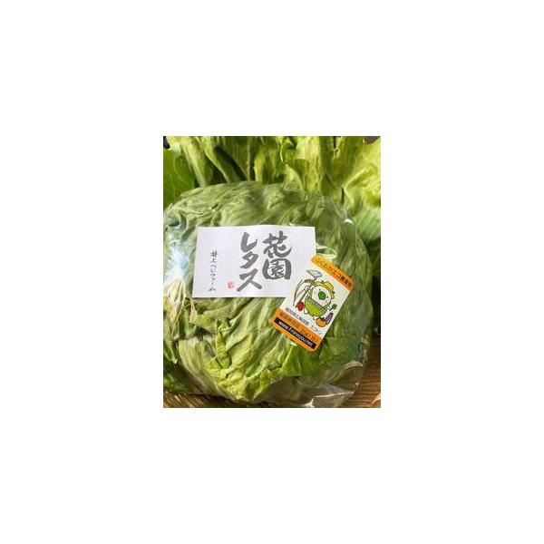 ■ 容量　花園レタス　2Lサイズ　6個入り　産地：福岡県朝倉郡筑前町　【賞味期限】　お早めにお召し上がり下さい。■ 配送について　2026年1月以降順次発送します　【受付期間】　〜2026年4月30日　タイプ：【常温】