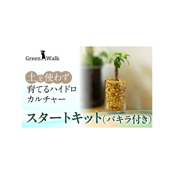 ■ 容量　【キットの内容】　・ガラス容器　・植込み材（ゼオライト）　・イオン交換樹脂（根腐れ防止剤）　・植込みマニュアル　・パキラ　【サイズ】　器：W5.7cm×H8.6cm　【材質】　器：ガラス■ 配送について　ご入金確認から2週間〜2カ...