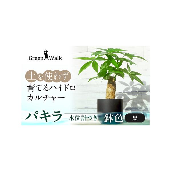 ■ 容量　パキラ モノトーン130陶器鉢 水位計つきセット　鉢のカラーはブラックです。　【サイズ】　器：W15×H14cm　植物含めた高さ：約40cm前後　【材質】　器：陶器■ 配送について　ご入金確認から2週間〜2カ月程度でお届けいたしま...