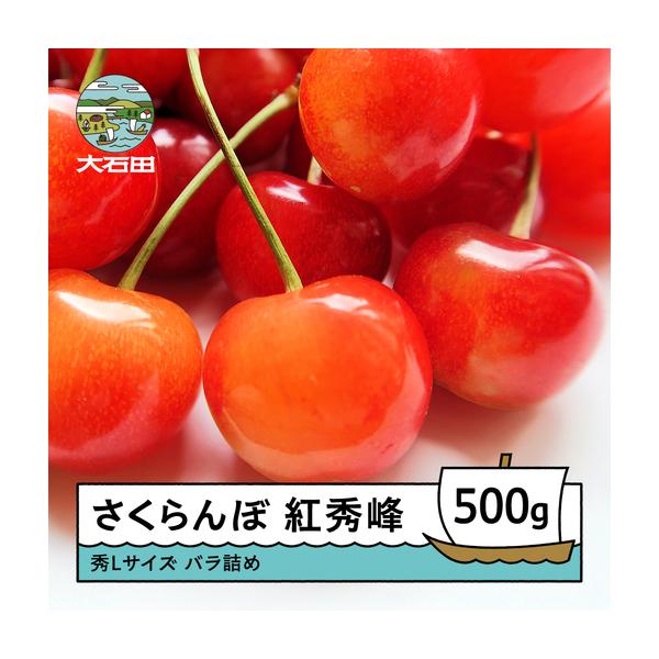 ふるさと納税 【先行予約】 さくらんぼ 紅秀峰 秀L 500g 令和9年産 ns-bsslb500 山形県大石田町
