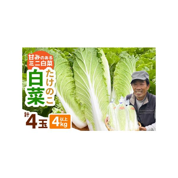 ■ 容量　■内容量等　たけのこ白菜　4玉（1玉約1kg）　■ 原材料　白菜　■ 本品に含まれるアレルギー表示28品目　なし　■ 賞味期限等　・お届け後は高温を避け、冷蔵庫にいれて、できるだけ早めにお召し上りください　■ 備考　※天候等による...