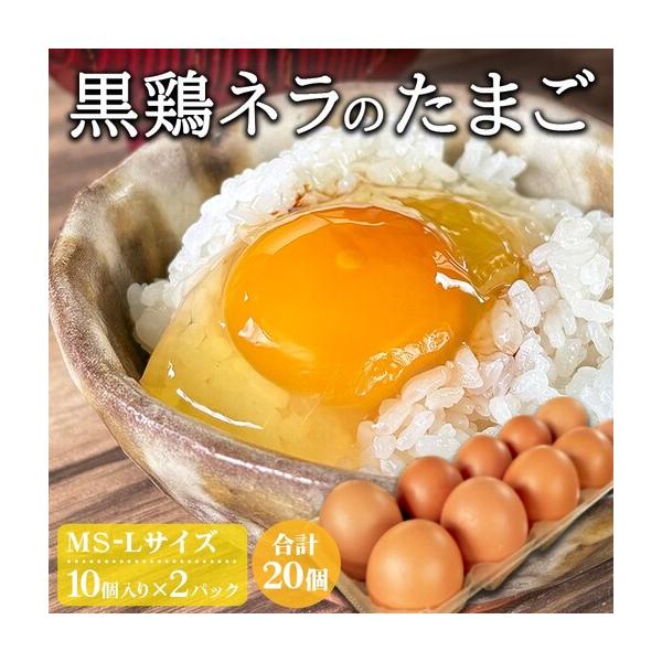 ふるさと納税 黒鶏ネラの卵 20個 卵 京都府亀岡市