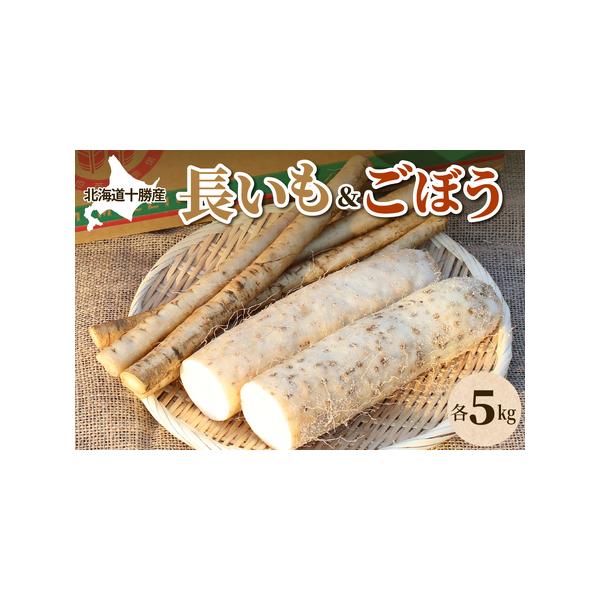 ■ 容量　長芋5kg、ごぼう5kg　　■消費期限　到着後、お早めにご賞味ください。　　■保存方法　風通しの良い冷暗所で保管■ 配送について　入金確認後2〜3週間程度　　※10月〜3月お申込み分は秋堀長いも、4月〜9月お申込み分は春堀長いもを...