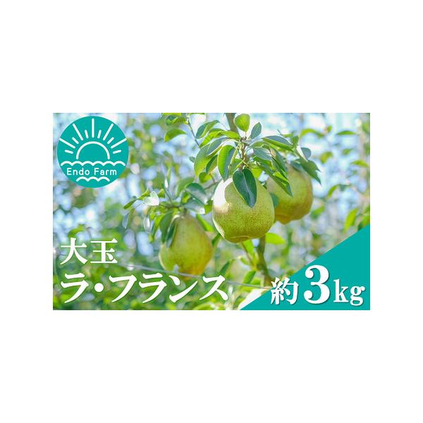 ■ 容量　ラ・フランス　等級：特秀　容量：約3kg(8〜10玉)　サイズ：3L〜5L　※サイズはお選びいただけませんのでご了承ください。　■ 配送について　令和8年11月上旬〜12月上旬にかけて順次発送予定　※生育状況によって発送時期が変更...