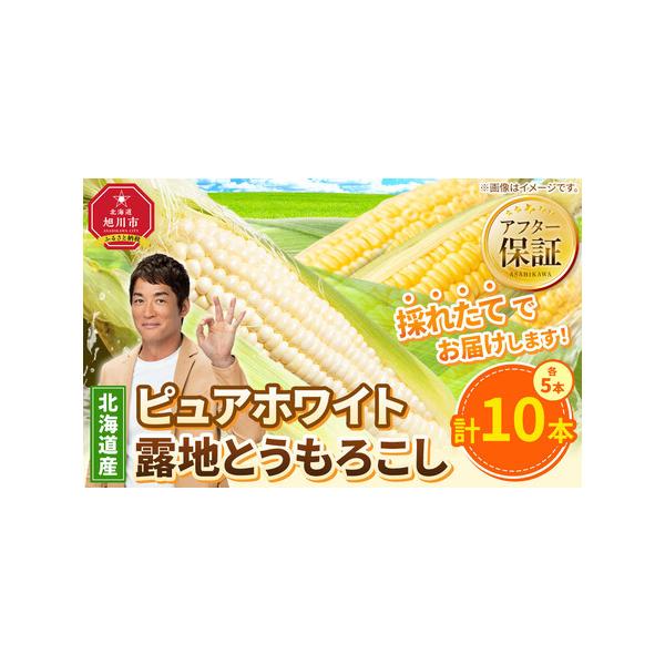 ■ 容量　ピュアホワイト5本・露地とうもろこし5本　合計10本　【賞味期限】　冷暗所で保存いただき、お早目にお召し上がりください■ 配送について　2026年8月中旬より順次発送予定　【受付期間】　〜2026年8月3日　タイプ：【冷蔵】