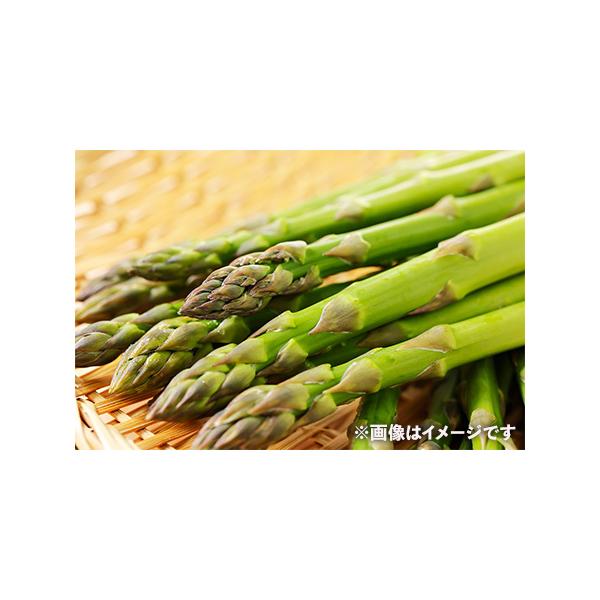 ■ 容量　お届けするサイズ：M、Sサイズの細物で、スジの部分をカットした17cm前後■ 配送について　2026年6月〜10月末で順次発送　タイプ：【冷蔵】