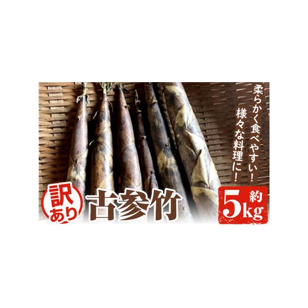 ■ 容量　訳あり古参竹：約5kg■ 配送について　2026年4月下旬以降順次発送予定　※青果物のため天候と生育状況により発送時期が前後することがあります。　タイプ：【冷蔵】