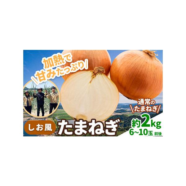 ■ 容量　約2kg(6〜10玉前後)■ 配送について　6月上旬-6月末頃出荷　タイプ：【常温】