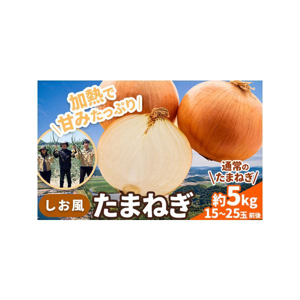 ■ 容量　約5kg(15〜25玉前後)■ 配送について　6月上旬-6月末頃出荷　タイプ：【常温】