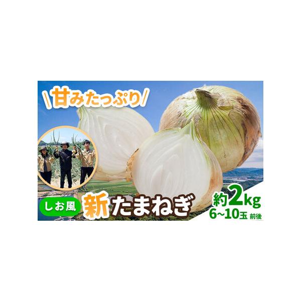 ■ 容量　約2kg(6〜10玉前後)■ 配送について　2026年5月中旬-6月上旬頃出荷　タイプ：【常温】