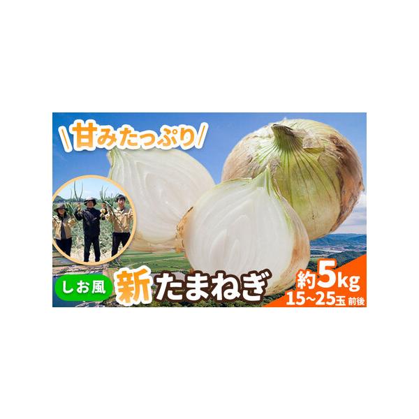 ■ 容量　約5kg(15〜25玉前後)■ 配送について　2026年5月中旬-6月上旬頃出荷　タイプ：【常温】