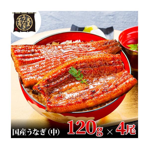 ふるさと納税 うなぎ 国産 蒲焼 120g×4尾 480g 大五 大五通商 うなぎ 静岡県島田市