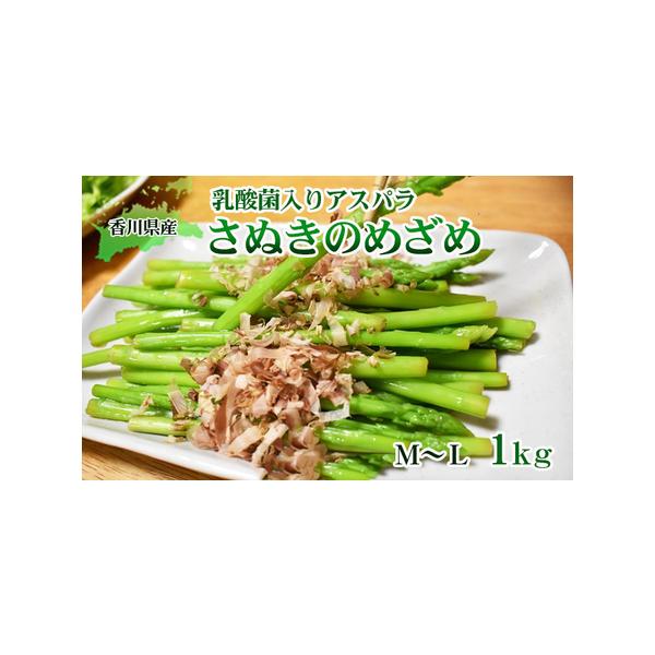 ■ 容量　アスパラセミロング 太さM〜L 1kg（30cm前後）/東かがわ市　■ 配送について　2026年2月中旬〜10月下旬　　タイプ：【冷蔵】
