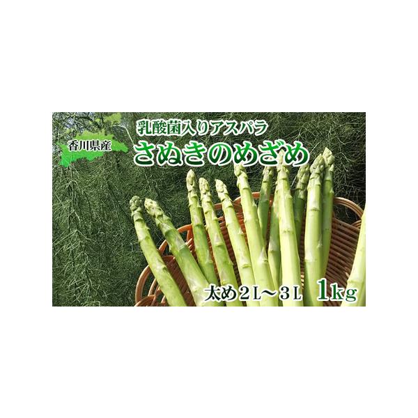 ■ 容量　アスパラセミロング 太さ2L〜3L 1kg（30cm前後）/東かがわ市　■ 配送について　2026年2月中旬〜10月下旬　　タイプ：【冷蔵】