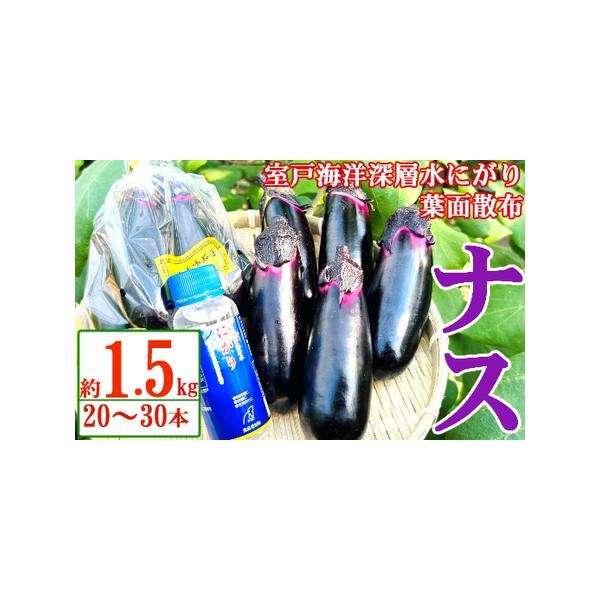 ■ 容量　約1.5kg（4袋〜6袋、20〜30本）Mサイズ■ 配送について　※7月〜8月は苗の入れ替え、作付け期間となるため発送ができません。　　恐れ入りますが、6月〜8月の間にご寄附いただいた場合、ご入金確認状況により9月下旬から順次発送...