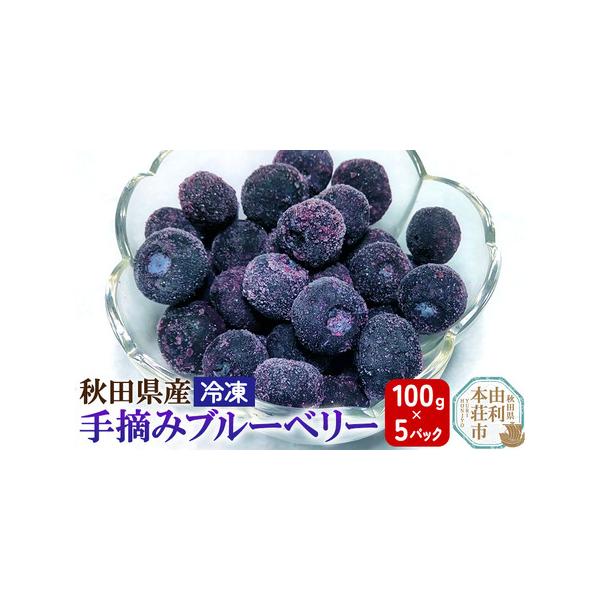 ■ 容量　■名称：冷凍ブルーベリー　■内容量：100g×5パック　■原材料：ブルーベリー（秋田県産）　■賞味期限：製造から180日　■保存方法：返礼品到着後は−18度以下で保存し、開封後はお早めにお召し上がりください。　■提供元：株式会社と...