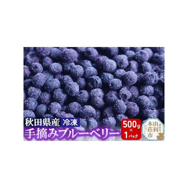 ■ 容量　■名称：冷凍ブルーベリー　■内容量：500g×1パック　■原材料：ブルーベリー（秋田県産）　■賞味期限：製造から180日　■保存方法：返礼品到着後は−18度以下で保存し、開封後はお早めにお召し上がりください。　■提供元：株式会社と...