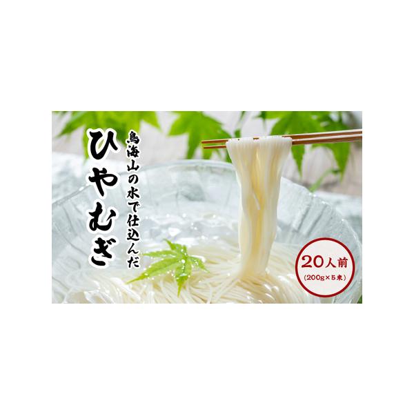 ■ 容量　象潟うどん220g×5束　ひやむぎ200g×5束セット　　タイプ：【常温】
